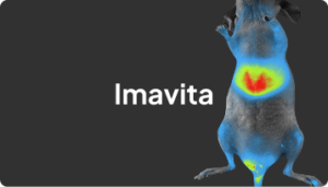 imavita thumbnail card animation