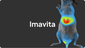 imavita thumbnail card animation