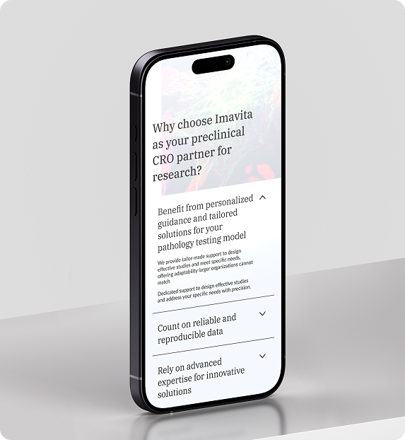 mockup mobile imavita